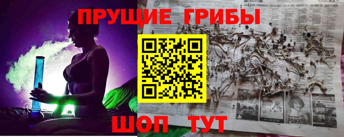 Псилоцибиновые грибы мицелий Чебоксары