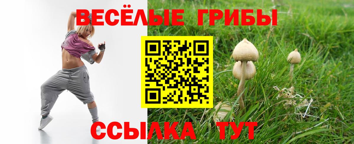 Псилоцибиновые грибы Magic Shrooms  Псилоцибиновые грибы мухоморы  Вход с VPN  Чебоксары 